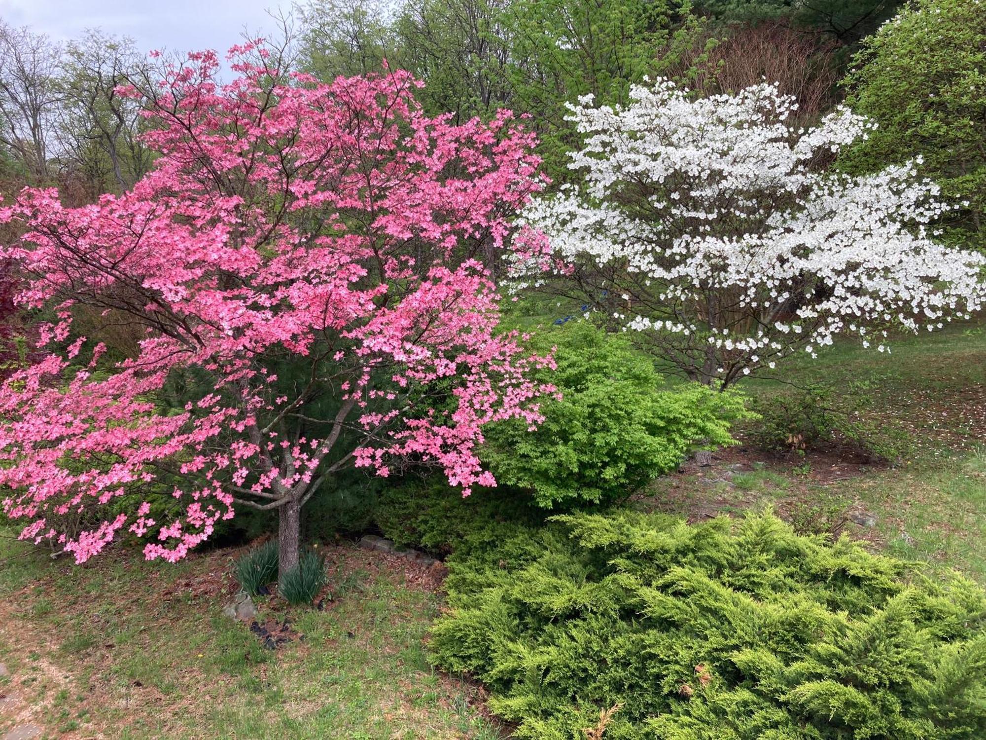 Purcellville Home ภายนอก รูปภาพ
